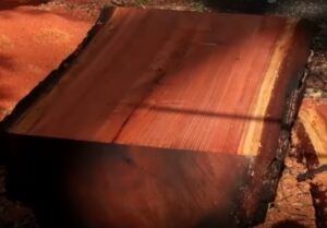 Redwoods